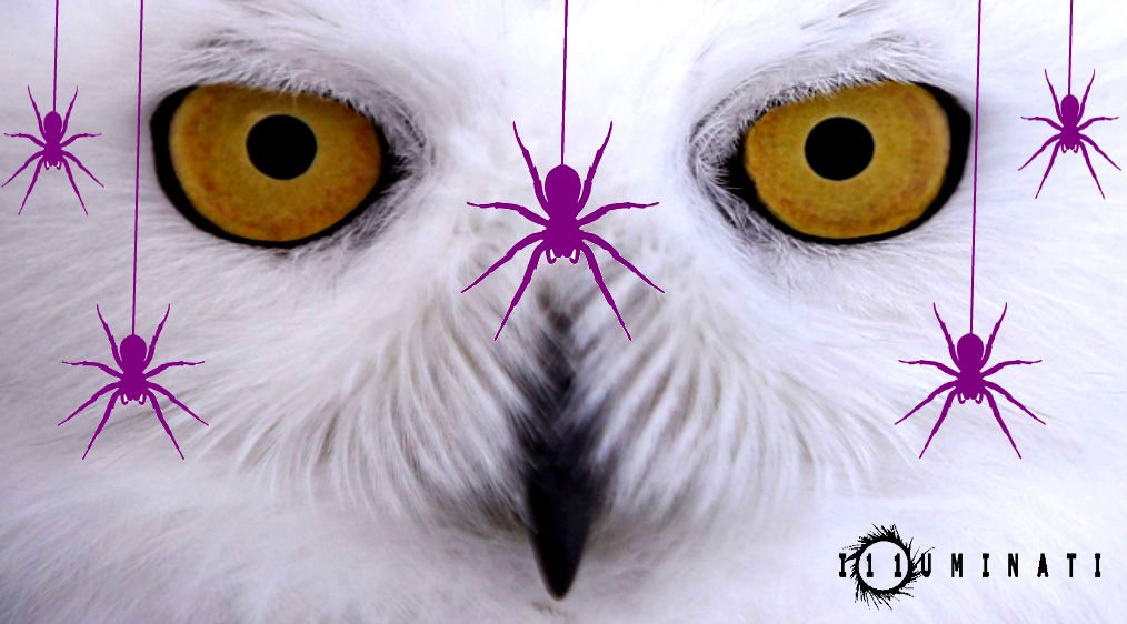 Montaqraph's tweet photo. #Q #Qanon #Qlinton #Qonjob #Spiders #Owls #LightLords #Elites It's Obvious That The Spiders Are In Full Control! The Illusion Of Justice, Is Simply That, An Illusion! May The Law Of Fives, Show It's Ugly Hand. Maybe October 5th, Will Bare, Unforgiven - Spoiled - Financial - Fruit https://t.co/R7lUpA9v9A