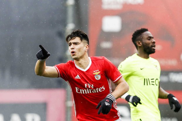 zerozeropt's tweet photo. Pêpê para evoluir com Luís Castro https://t.co/8rQZQAzP8E #PedroRodrigues #VitoriaSC #SLBenfica https://t.co/TpKGNwD26A