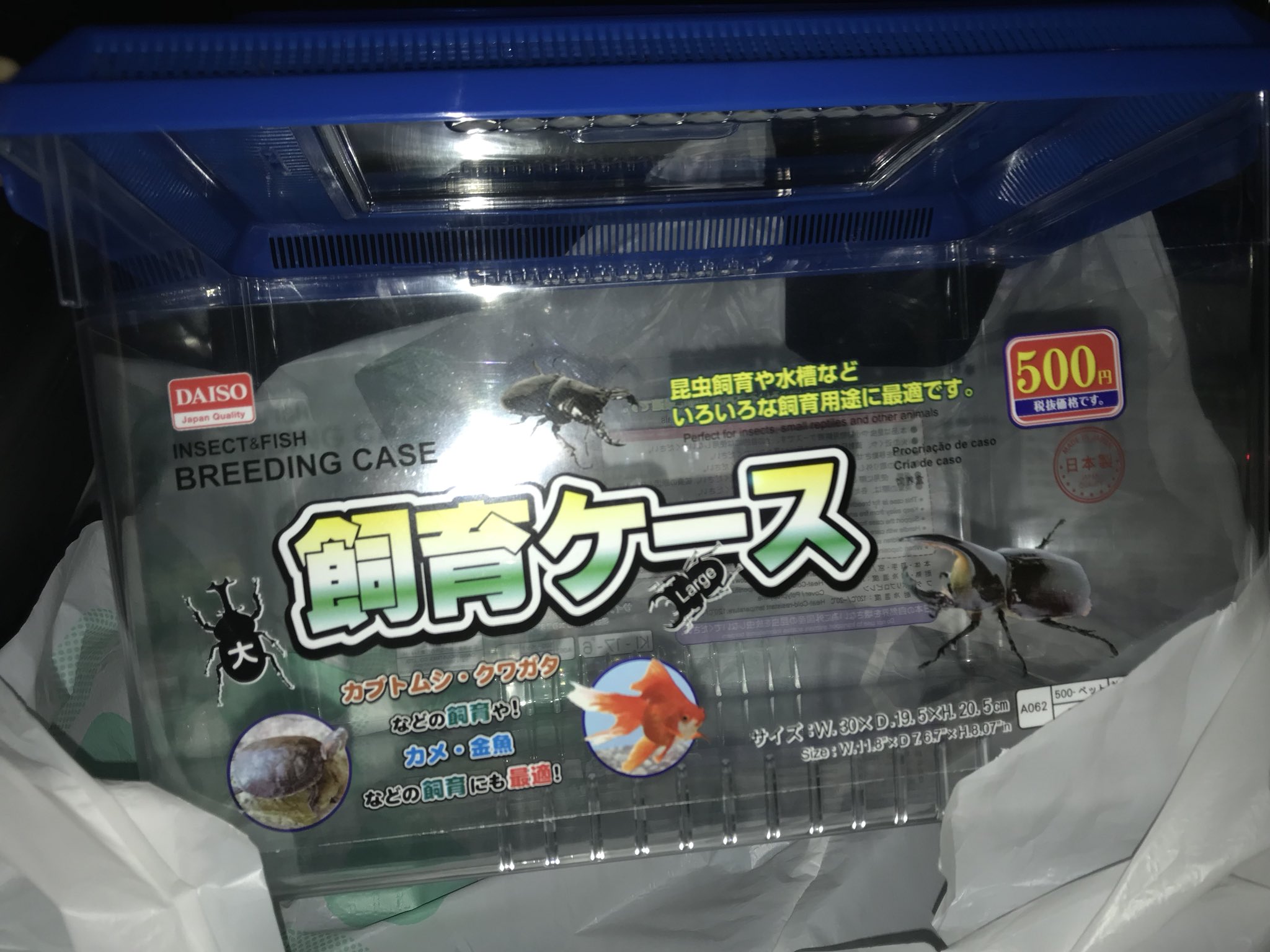 カラスミ お高め かわかんないけどダイソーに大きい虫かご売ってて買ってしもた T Co 1gtuf1brok Twitter