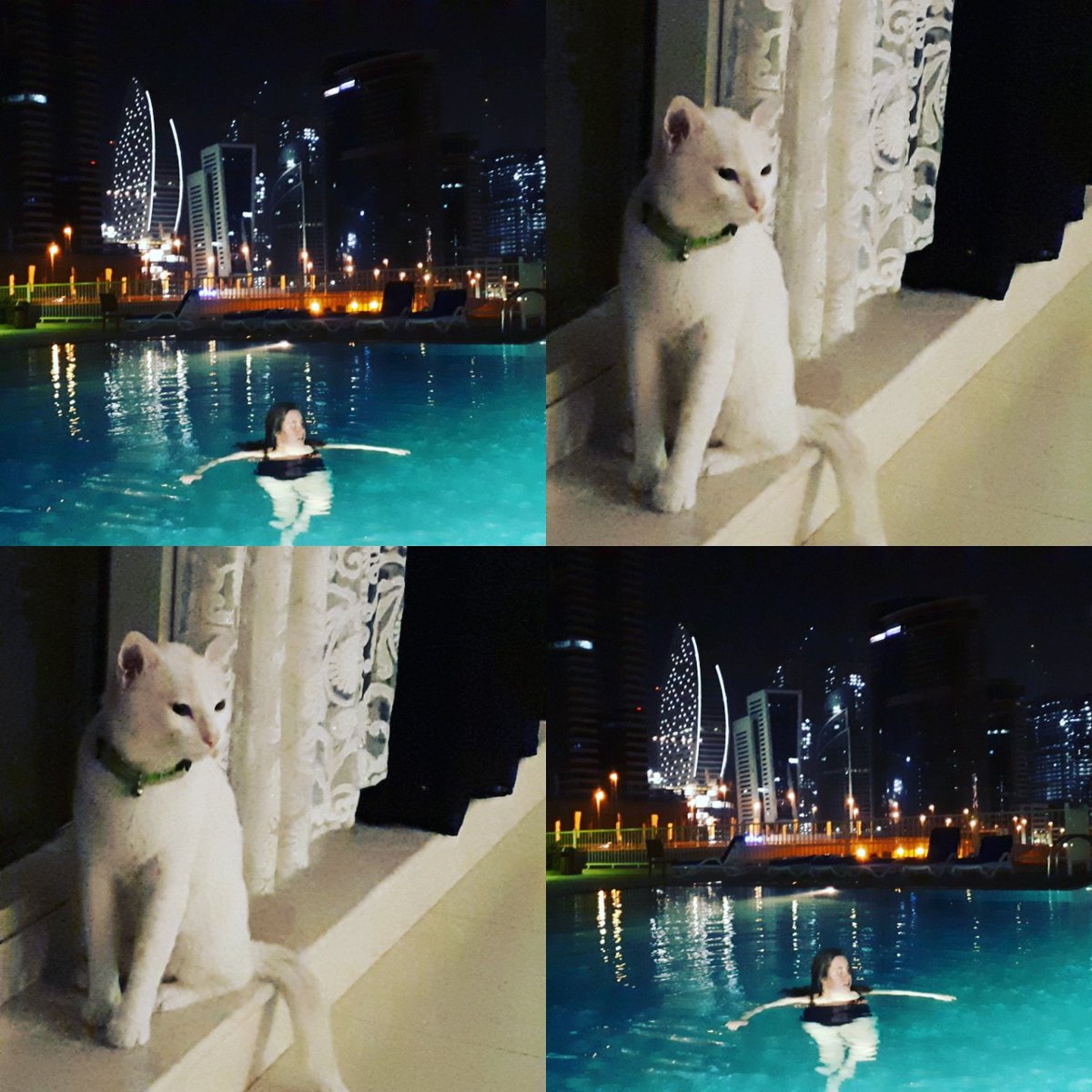 AdventureAutism's tweet photo. Sofia heaven - #swimmingpool and a #cat to play with. Perfect short break :)
#Autism #autismlife #Autismadventure #AutismAwareness #travel #shortbreak #Dubai https://t.co/1n3EeBn87h