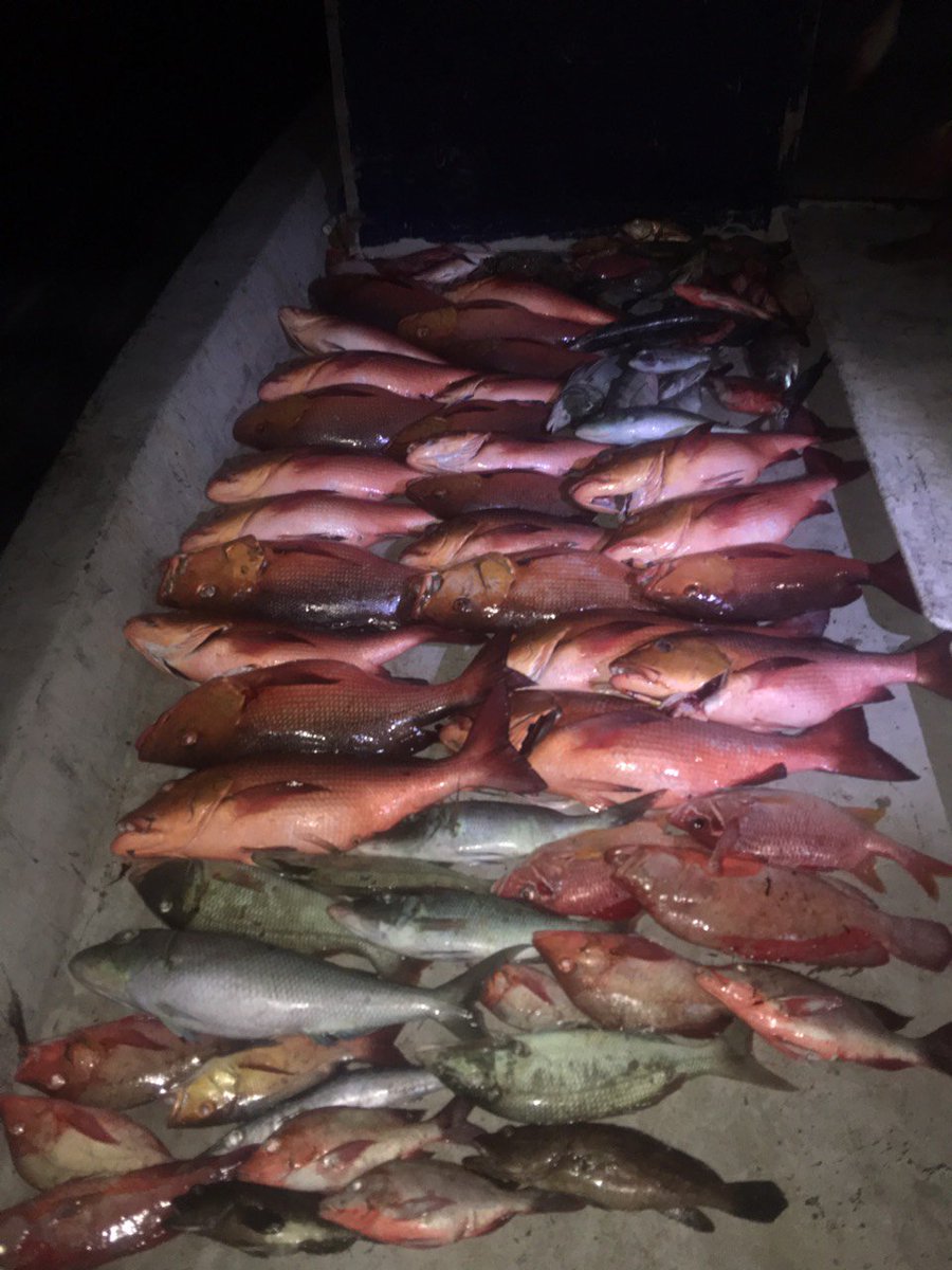 shaahid_96's tweet image. Kobaa #raimas beynuntha? Mirey @ungoofaaru ga kuriyahdhaa masreyhugetherein.. #TeamWestBeach Dhoni 
 Thank you #LotusBikeShop @Arttey, @Dhiraagu