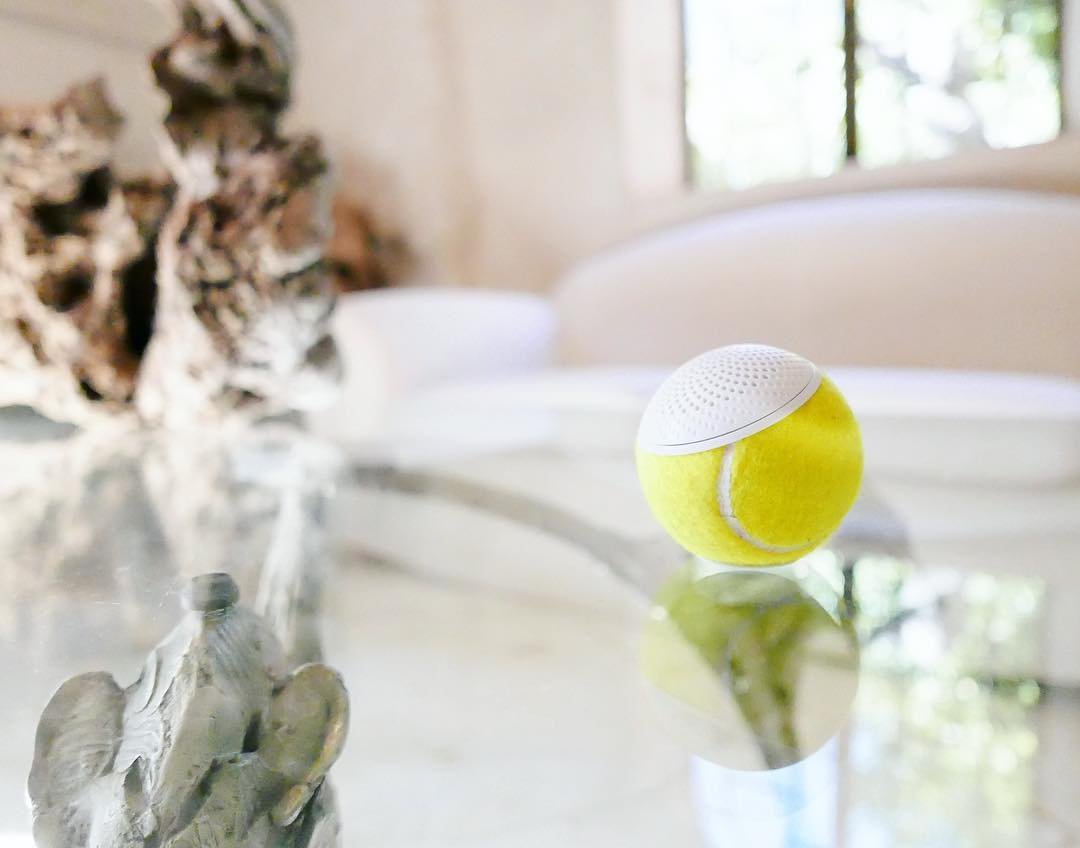 hearospeaker's tweet photo. Our @hearospeaker sits anywhere &amp; loves to play your favourite song 🎾🎵 #Hearo #TennisBallSpeaker #WirelessSpeaker #Tennisball #upcycling #recycledtennisball https://t.co/coQmiyNn10