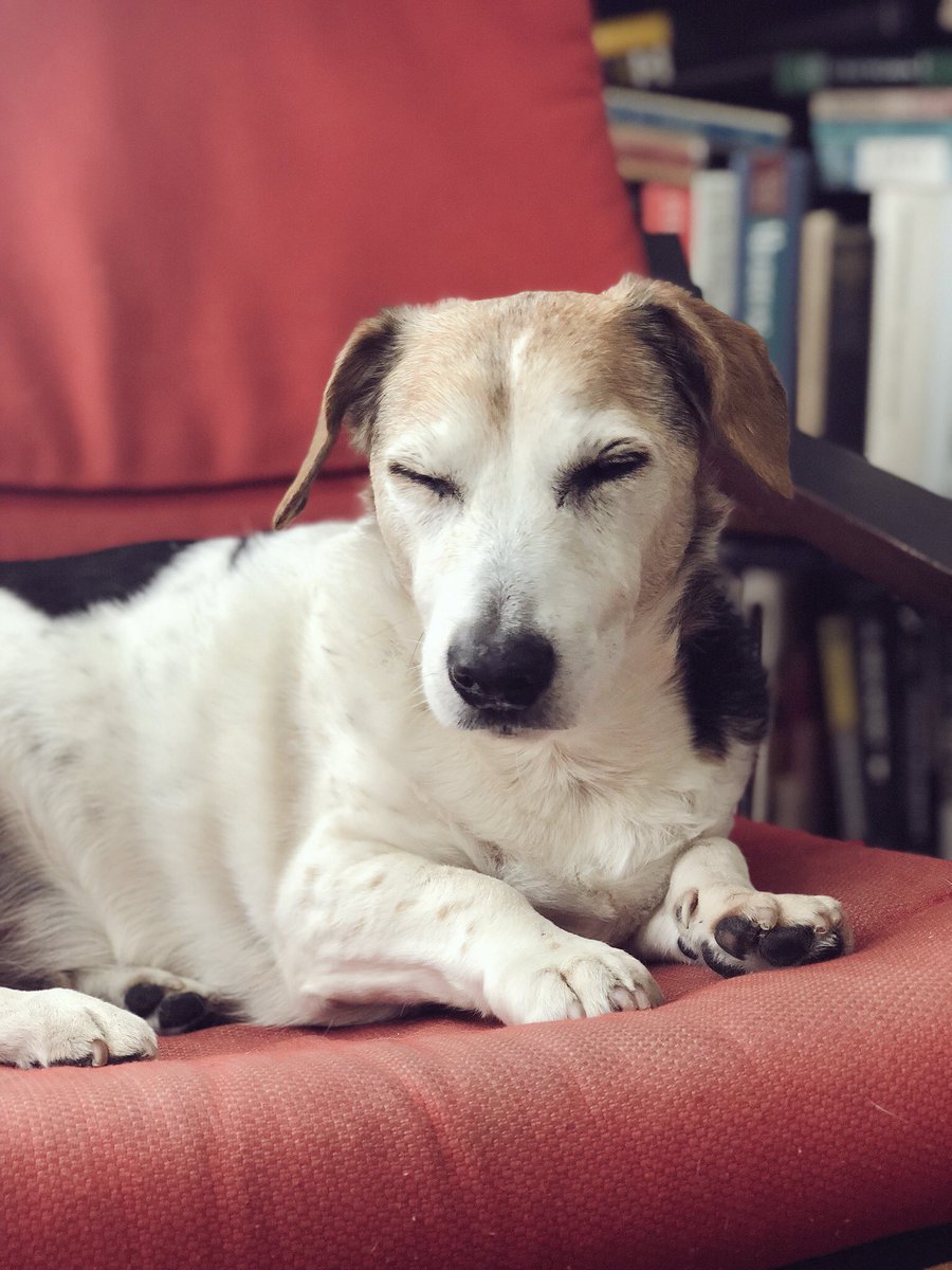 ernierubs's tweet photo. Sunday morning. https://t.co/eiAIs9gBd1