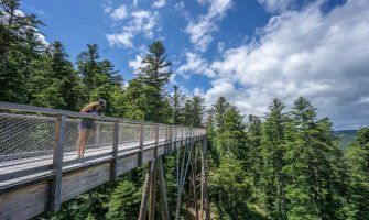 travelvoc's tweet photo. SOLO FEMALE #TRAVEL ADVICE https://t.co/2evAqaQsTd #culturetrav #Explore #Adventure #solotravel #SoloTraveller #SoloTraveler #solohiker https://t.co/lcsg2eAKC9
