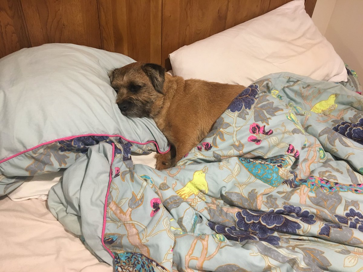 Nah I don’t fancy a walk, I’ll get up when you get back! #btposse #lazyboy