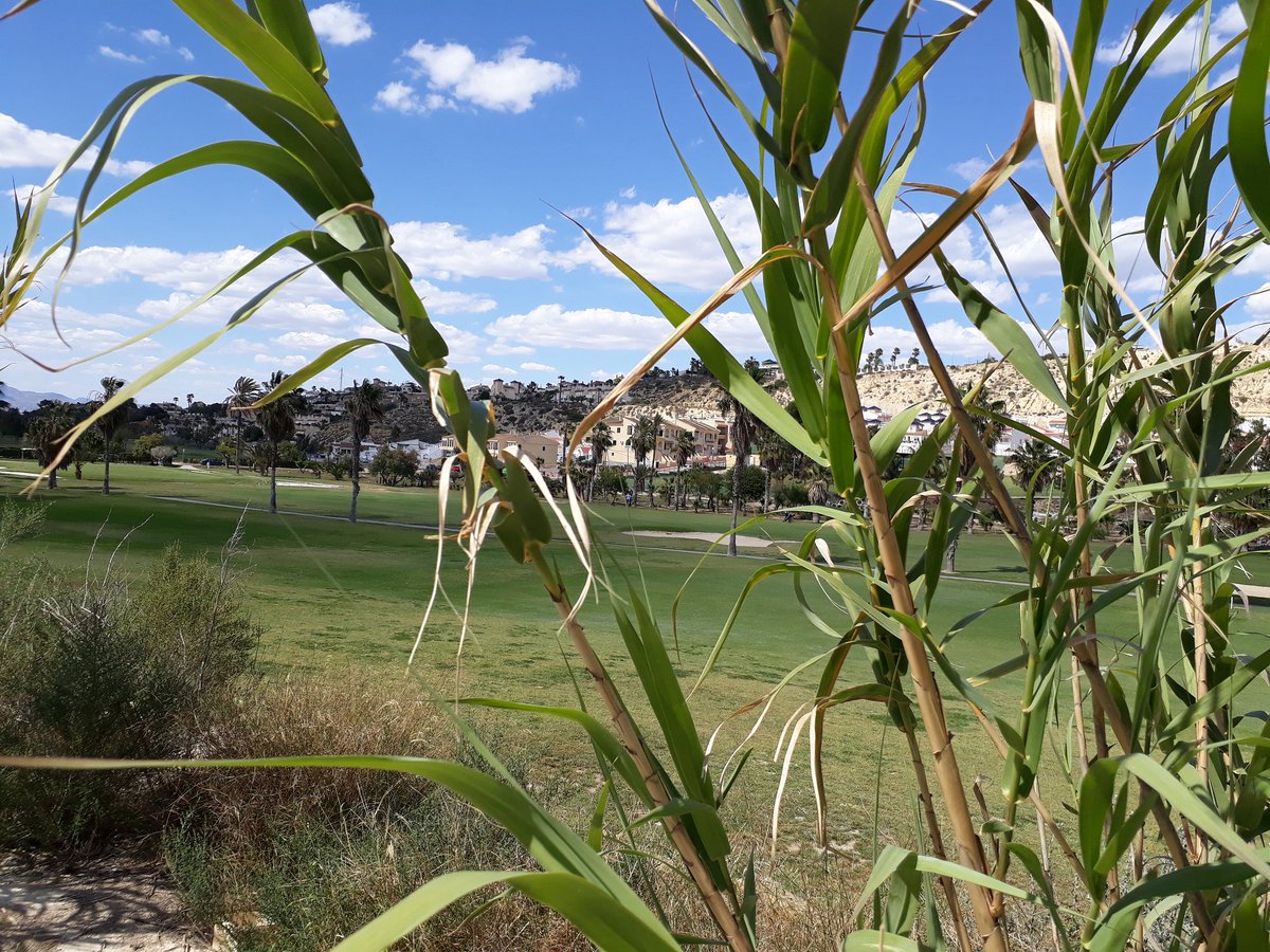 ⛳ Alicante Golf Apartment ☀️ tweet media