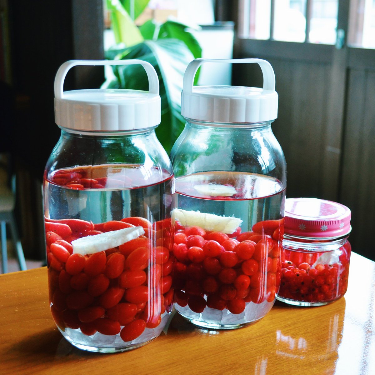 ギャラリーカフェテオ 採ってきた赤い実たちはジャムにすると少ないので果実酒にしました ビックリグミ酒 ユスラウメ酒 アカスグリ 酒 出来上がりはまだ先ですが一般流通しないものなので珍しいですよ こんな感じで棚が魔女の実験室みたいになっていき