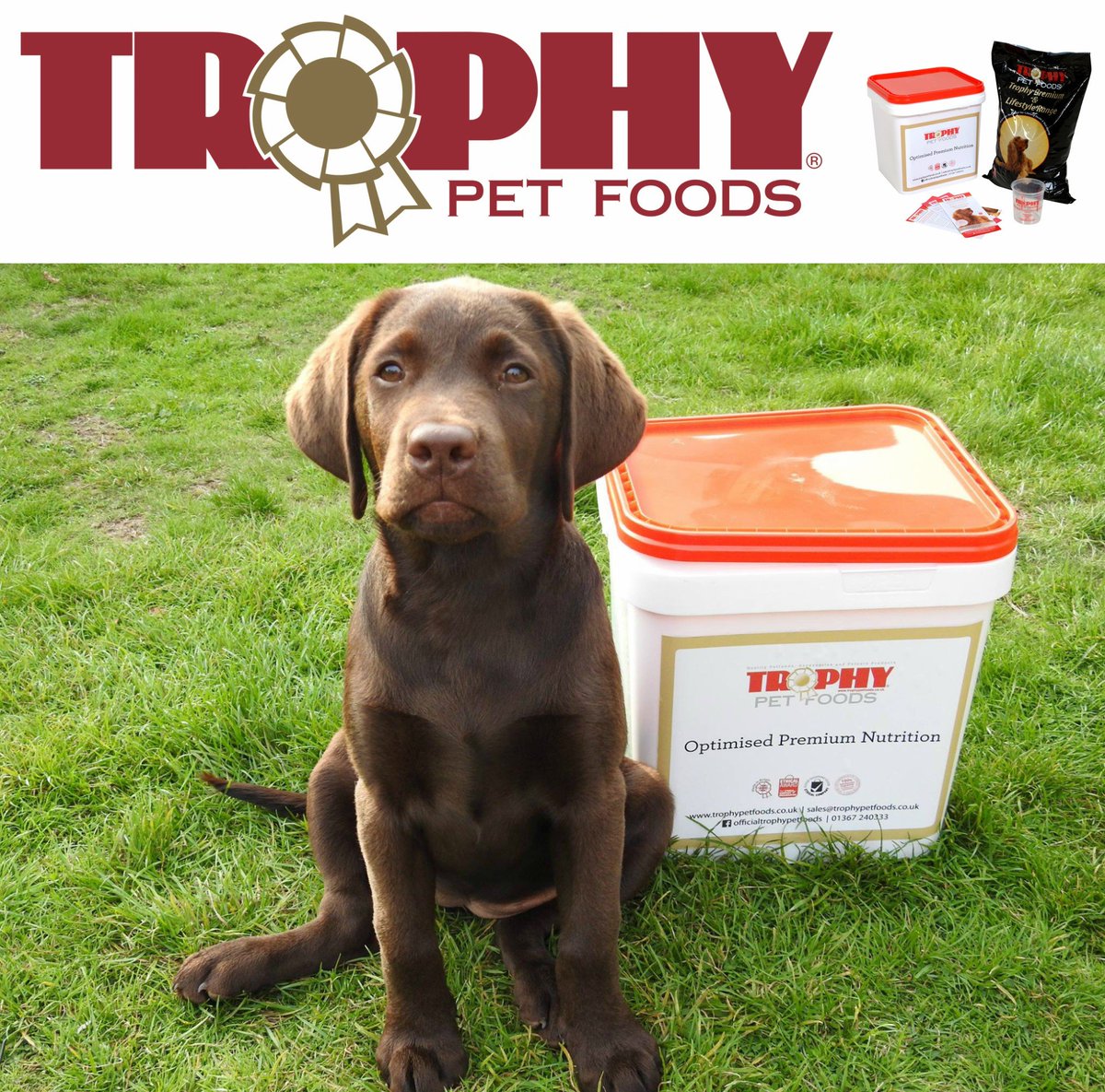 trophy_wirral's tweet photo. Your pet will love you for letting him try our food with a starter pack. With 100% satisfaction guarantee what have you got to lose?  https://t.co/fnbChh1UAS #SundayFunday #SundayMotivation #british https://t.co/eJssUAGao0