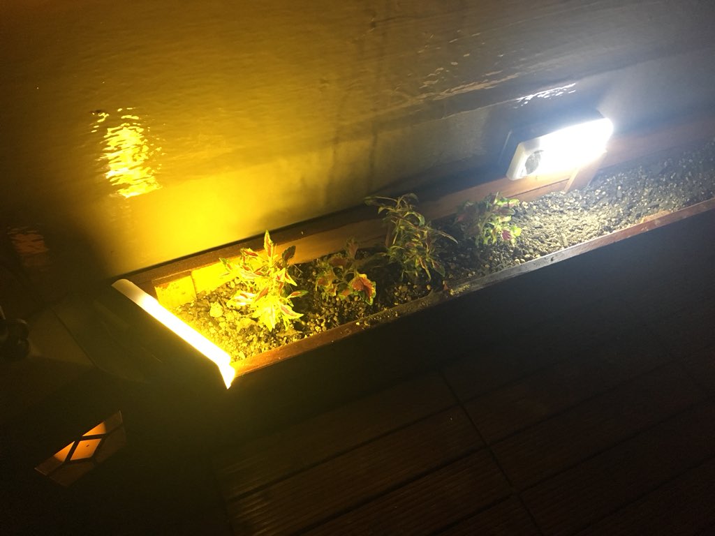 Go羽鳥 やっぱこのライトすごい 夜でもガーデニングできちゃうくらい明るい 100均検証 12 Smd 1 Ledランタン T Co 4cfwdisxwz Go羽鳥 やっぱこのライトすごい 夜でもガーデニングできちゃうくらい明るい 100均検証 12 Smd 1 Ledランタン T Co 4cfwdisxwz