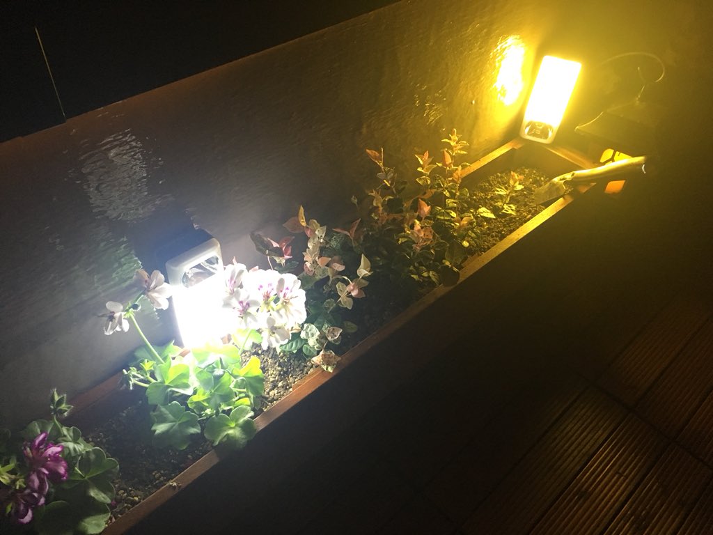 Go羽鳥 やっぱこのライトすごい 夜でもガーデニングできちゃうくらい明るい 100均検証 12 Smd 1 Ledランタン T Co 4cfwdisxwz Go羽鳥 やっぱこのライトすごい 夜でもガーデニングできちゃうくらい明るい 100均検証 12 Smd 1 Ledランタン T Co 4cfwdisxwz