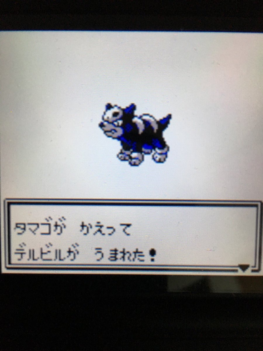 色違いポケモン紹介 Vc産デルビル 自由に生きてあそblog