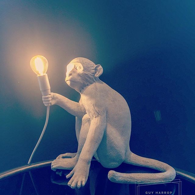 guyharrop's tweet image. Monkey light in hairdressers, UK. #monkeylight #light #lamp #monkey #furniture #hairdressers #props #lightbulb #bulb #fun #funny #dailylife ift.tt/2MzgQTW