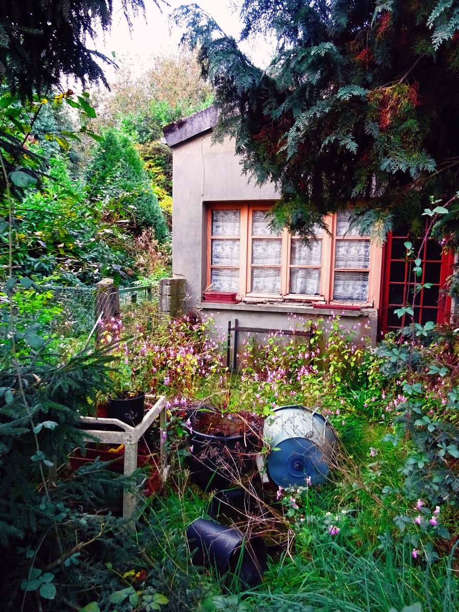 valmont1702's tweet photo. • Pretty Mess _ Engulfed Backyard #cottage #lodgelife #treehouselife #inbloom #organicgarden #végétation #onkruid #wildebloemen #verlatenplaatsen #verlatenplaats #prettymess #backyardart #廃墟撮影 #abandonedplace #edificidismessi #urbex_world #grime_nation #sfx_decay #övergiven https://t.co/j0B2vknBVb