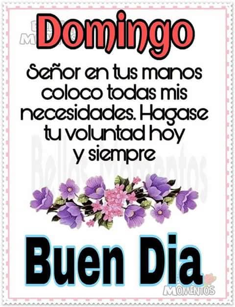 ImelGonzalez's tweet photo. Feliz y bendecido Domingo en familia 💋❤️💐 https://t.co/QTGU6bru9x
