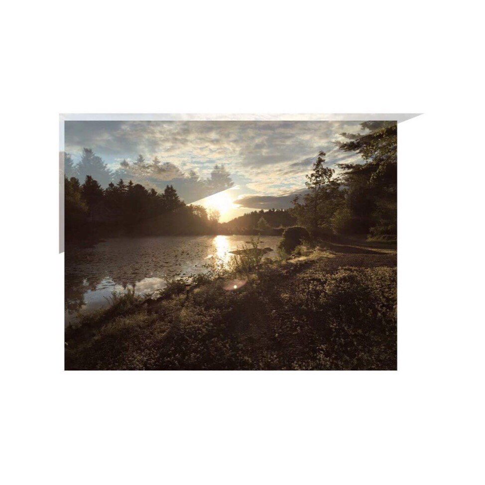 StephanieBedOff's tweet photo. jusqu’a y’a encore quelques années, je croyais qu’il n’y avait que la nuit pour être inspirée... maintenant, je crois aussi aux matins. bon dimanche! #nature #force #createlovelive https://t.co/dNBQ31WA1o