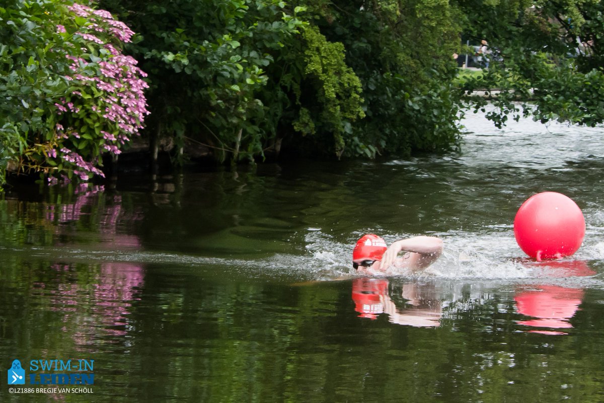 Fijne #Vaderdag zwemmers!
Durft die van jou het aan: 29 juni @SpeedoNL Swim-in Leiden? 
#OpenWaterSwimming #Leiden