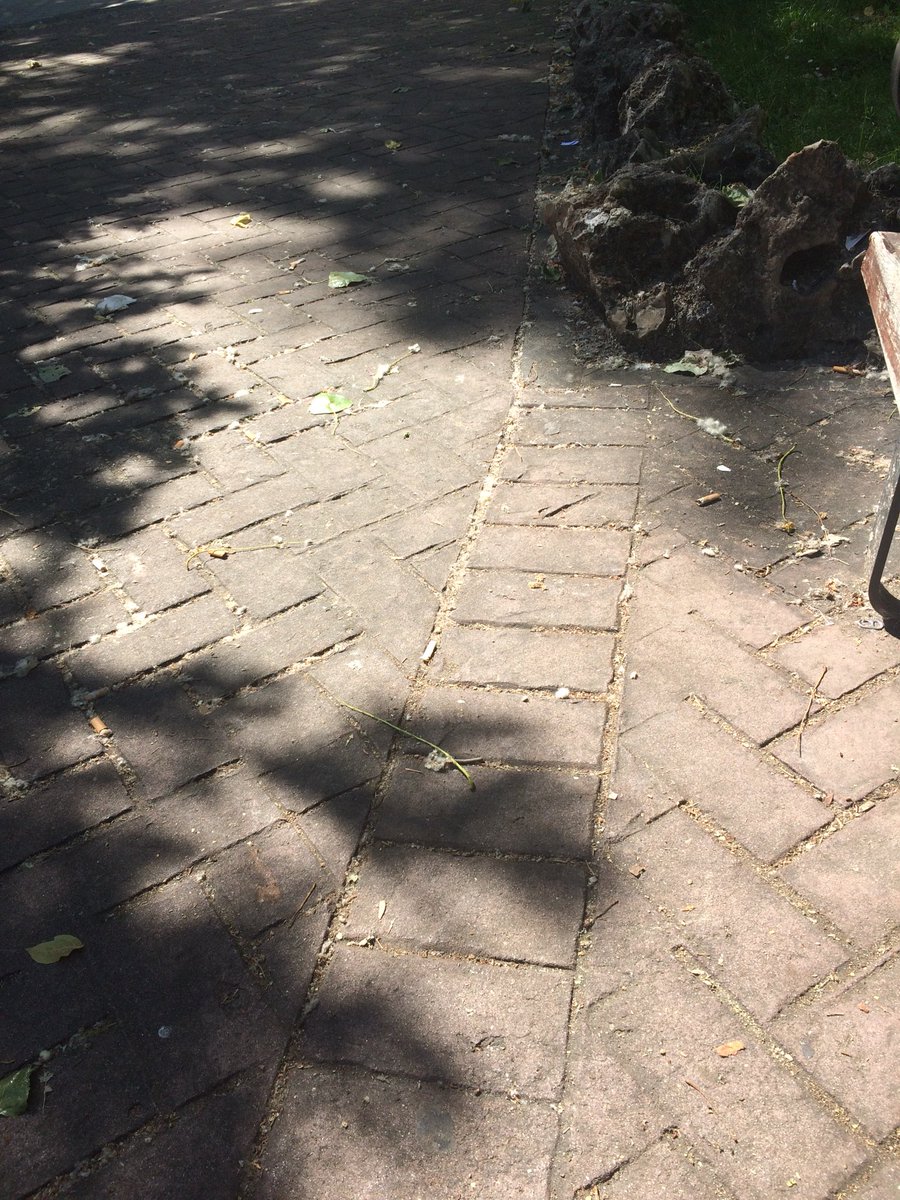 susanamdiaz's tweet photo. Frente al metro Parque Avenidas  @Lineamadrid limpieza por favor!! https://t.co/ECd6CpC9YT