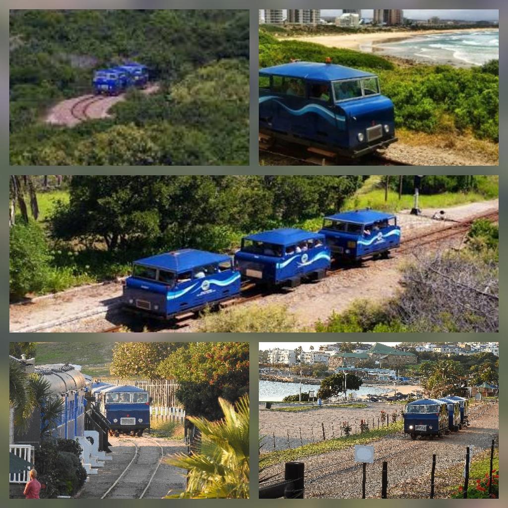 visitmosselbay's tweet image. #mosselbay is a #familydestination with a magnitude of things to do for the whole family - there are literally too much to do for just one holiday! @grkk1 @discoverctwc #MeetSouthAfrica @gardenroute #thingstodowithkids #FamilyFun #holiday #taketimeoff #diazexpress