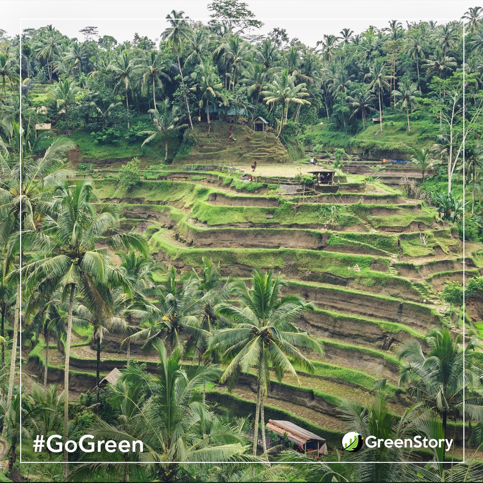 GreenStoryInc's tweet photo. Wherever you are in the world this weekend, get outside and #gogreen.😎😎😎
#tellyourgreenstory #weekendvibes #GoGreen #getoutside #sundayfunday #summer #adventures #ecotravel #useitorlooseit #greenearth #ecofriendly #greenliving #sustainableliving https://t.co/RLTBK0eAIs