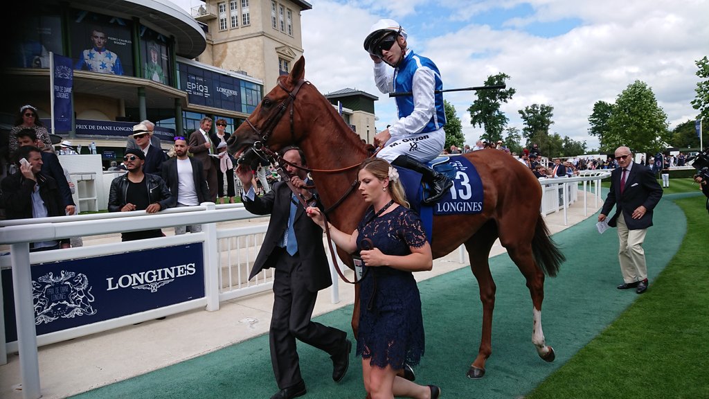 seenthestars's tweet image. @RacingPost #PrixDeDianeLongines #Soustraction