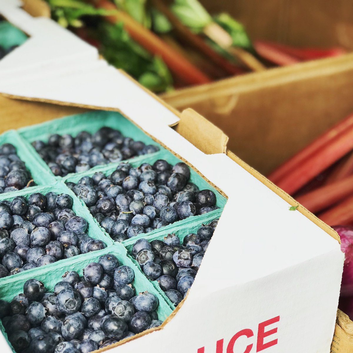 Livin' the Pie Life (LivinThePieLife) Twitter