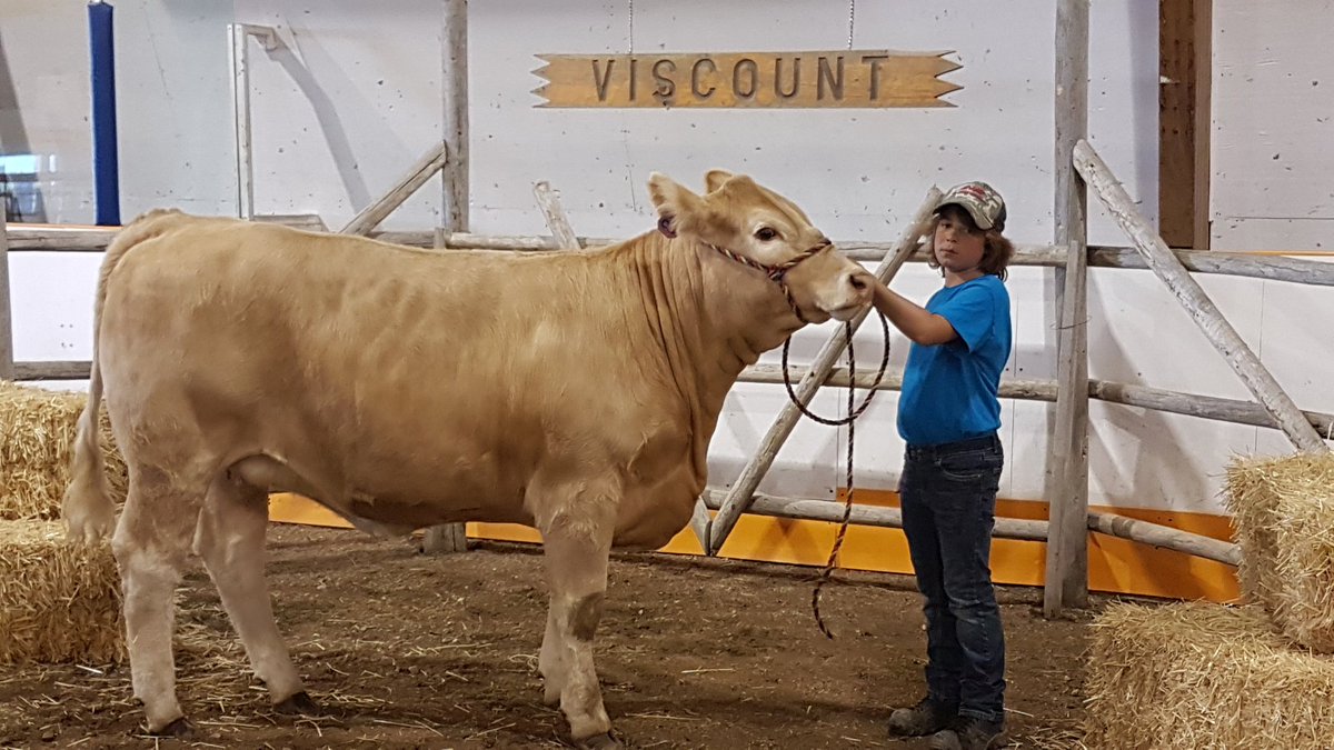 sheriyaworski's tweet photo. Viscount 4H Beef Acheivememt Day #4HSask https://t.co/obAZ2MCVlk