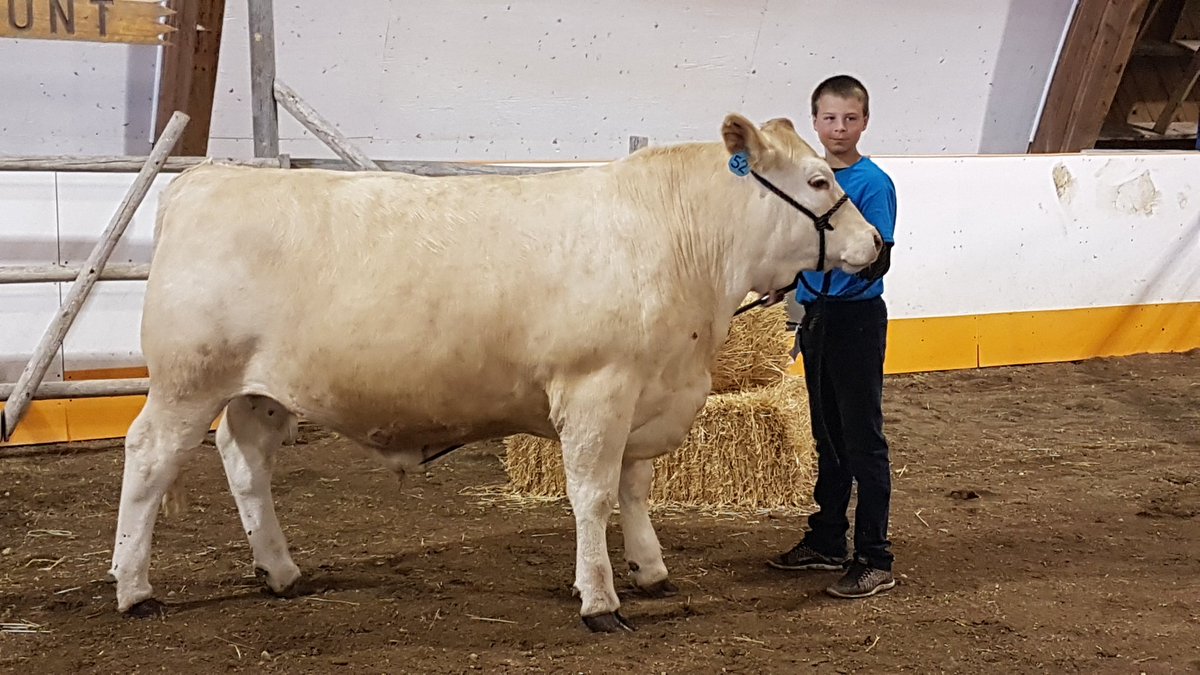 sheriyaworski's tweet photo. Viscount 4H Beef Acheivememt Day #4HSask https://t.co/obAZ2MCVlk