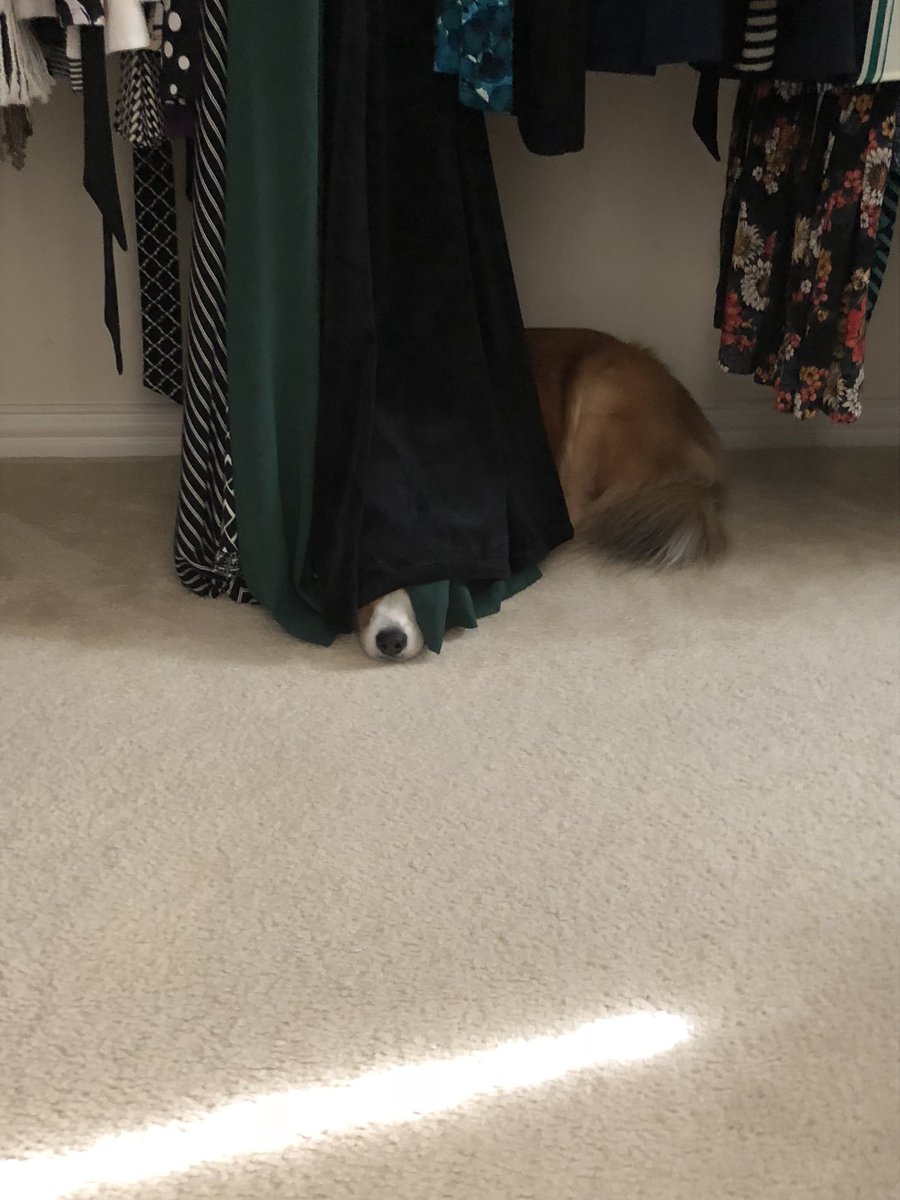 NicoleRE's tweet photo. @willdogs @cstanderfer @HeyItsHigbe @jas508 #OhBaxter is not available for photos right now. I’ll check back with him later. https://t.co/4aC6S80AY7