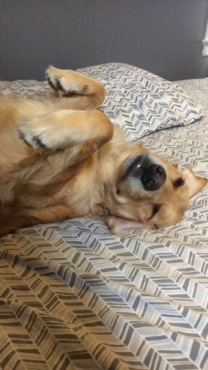 Rosie can’t wish me a happy Father’s Day so I’m doing it myself