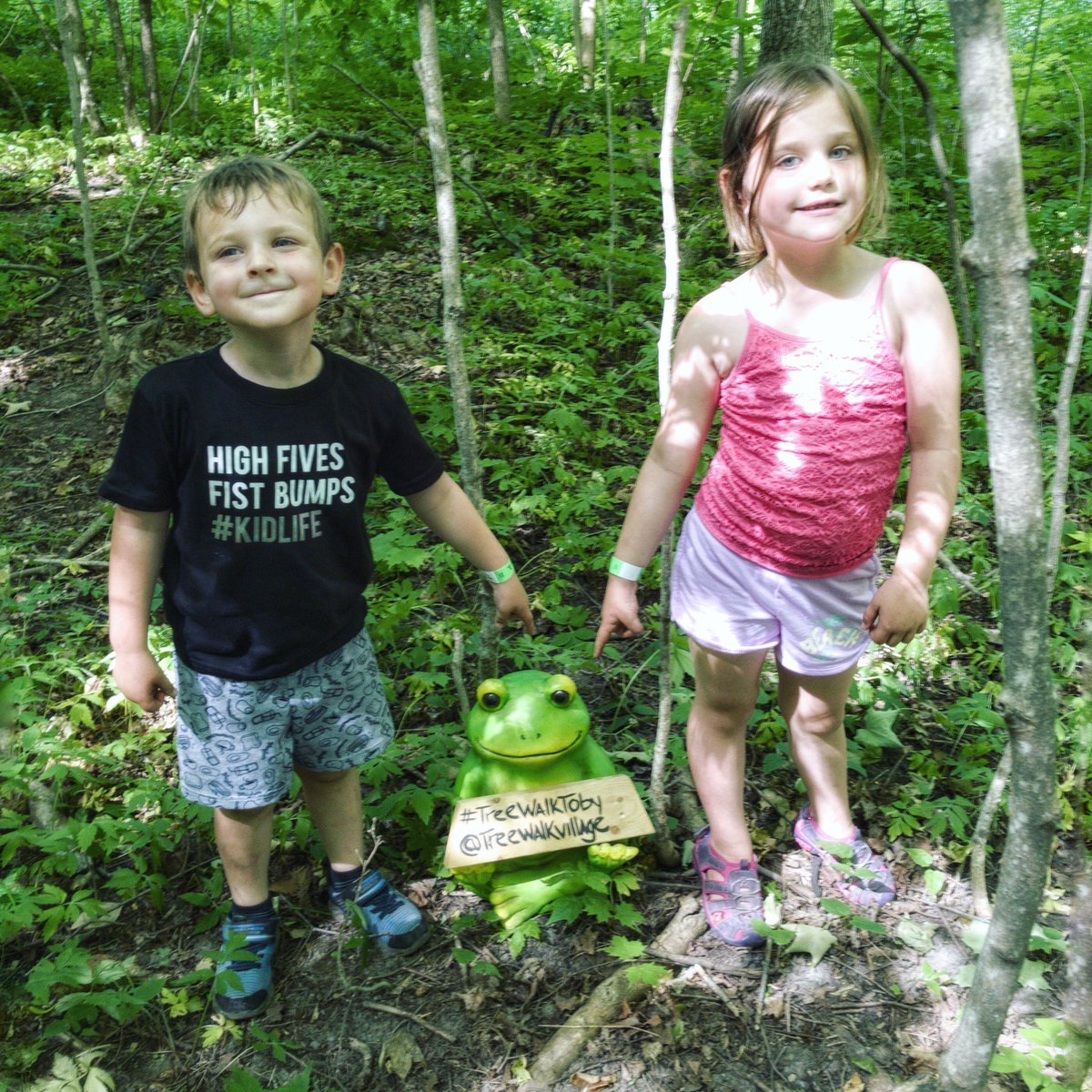 MenuEvolution's tweet image. We found #TreeWalkToby on a wonderful #FathersDay here @treewalkvillage #FunInTheSun #Climbing #SmellOfCharcoalInTheAir #BruceMills #Conservation
