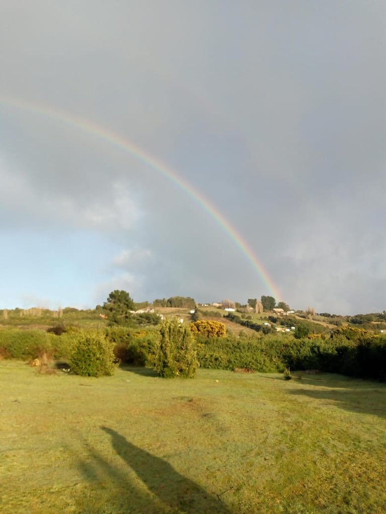 Defendamos_Gamboa tweet media