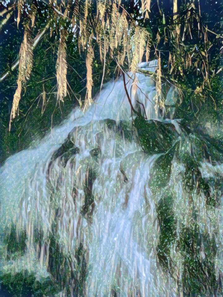 Defendamos_Gamboa tweet media