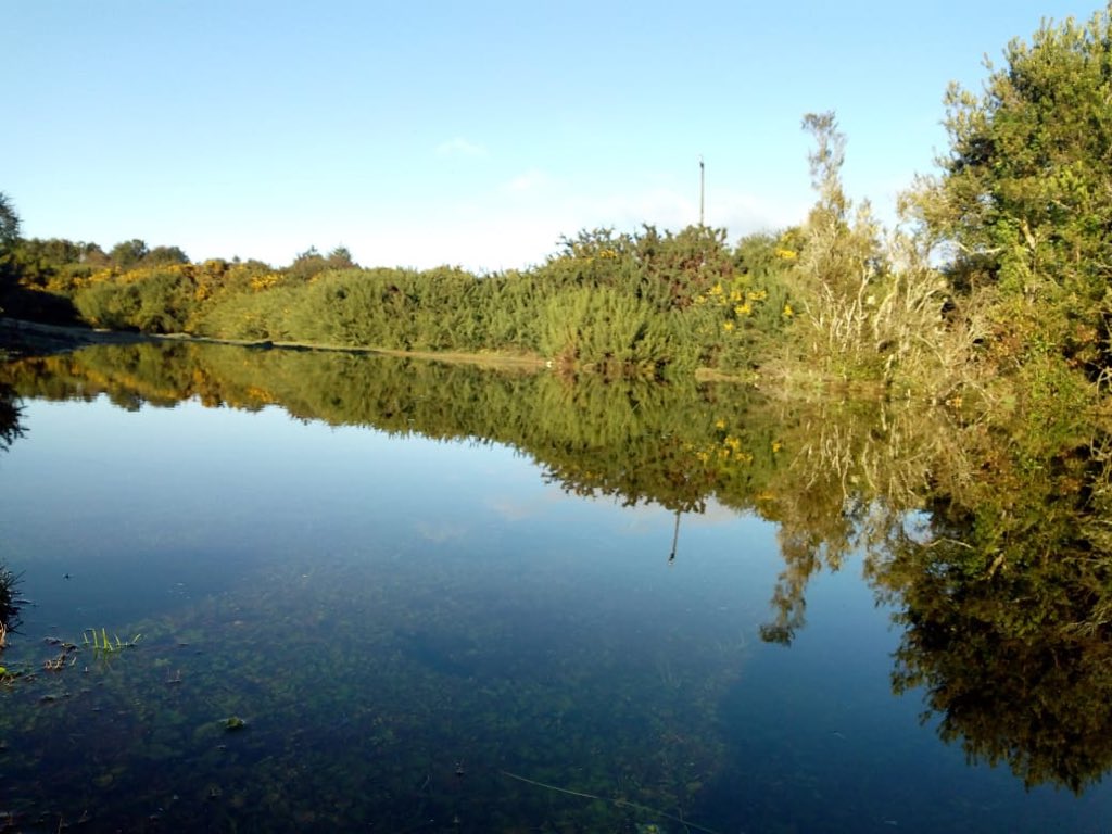 Defendamos_Gamboa tweet media