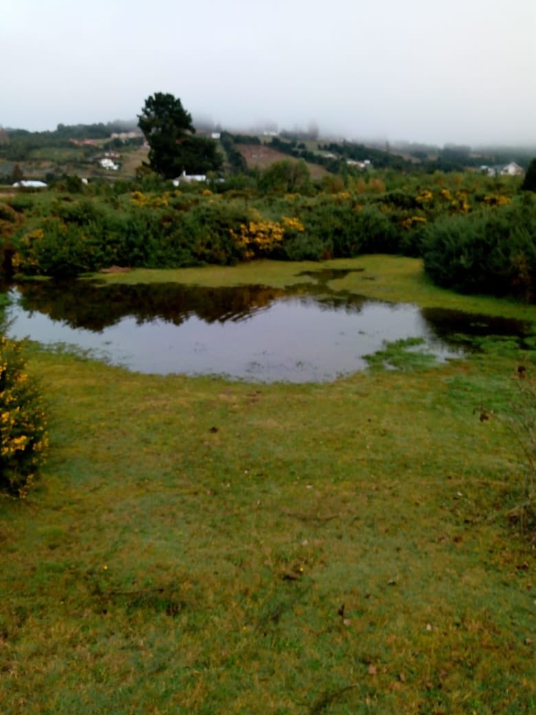 Defendamos_Gamboa tweet media