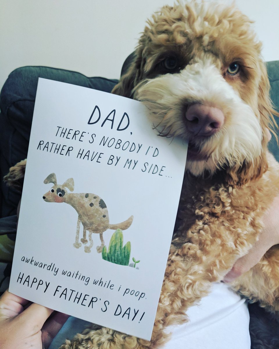 Cockapoo_pops's tweet image. Happy Skin-dad's Day to all those furrdaddies out there!