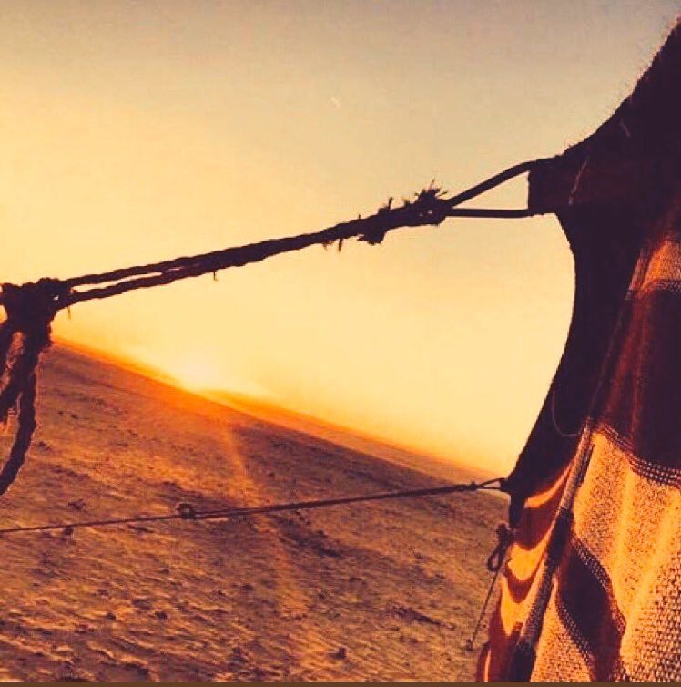 جوالبداوه ينعش القلب والروح😘
متضايق مااحب جوالمدينه😩
ايه بدوي دلتي هيلهايفوح 😐
مَشٍأّعٌريِّ لَلَعٌزِّدِأّبِمَ رهينه👍