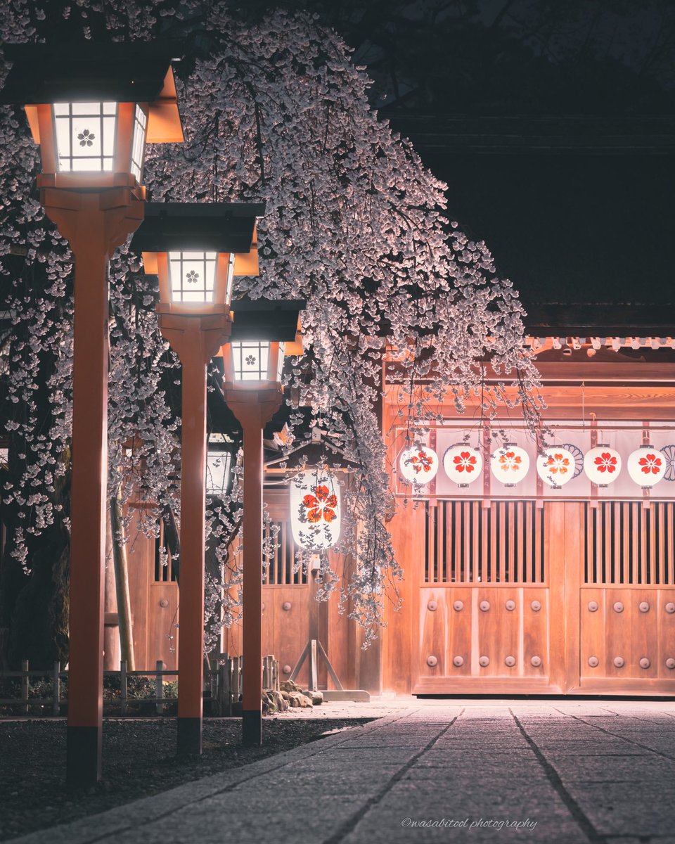 AestheticsJapan's tweet photo. Kyoto Nights | by @wasabitool https://t.co/Sbe1UxdpYo