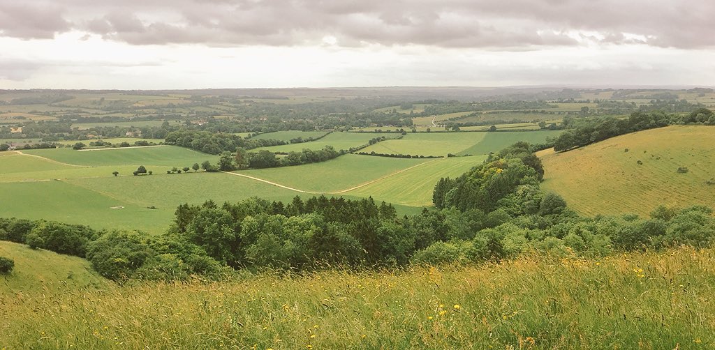 SkylarkArtist's tweet photo. National Nature Reserve...
Beacon Hill, Exton
most common species:
#FragrantOrchid #SaladBurnet #SheepsFescue #HorseshoeVetch #YellowWort #ClusteredBellflower #NNR
🌱💜🥗🐑🐎🌼🔔🌱 https://t.co/Zoyzz0hgol