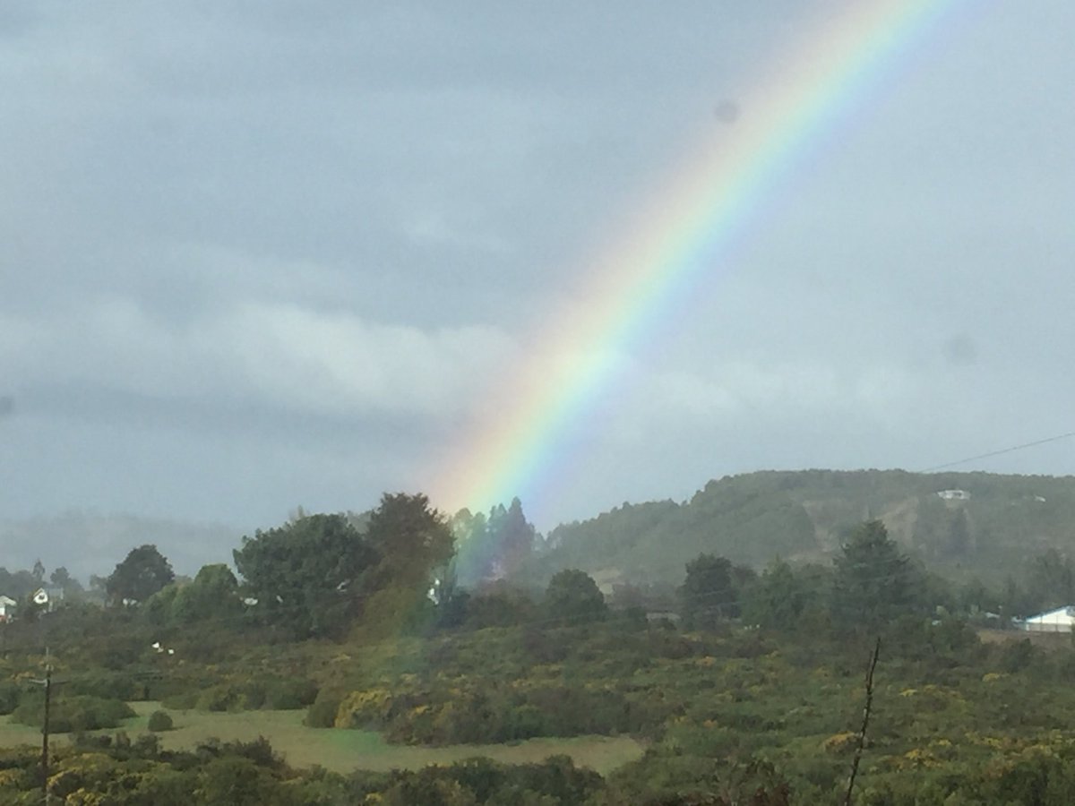 Defendamos_Gamboa tweet media