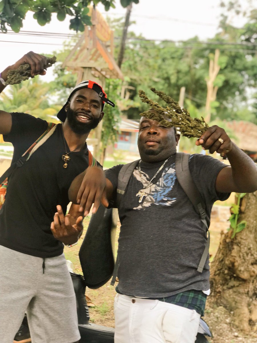7DawgHuncho's tweet image. Jamaica No problem 🇯🇲🌴
#Respec