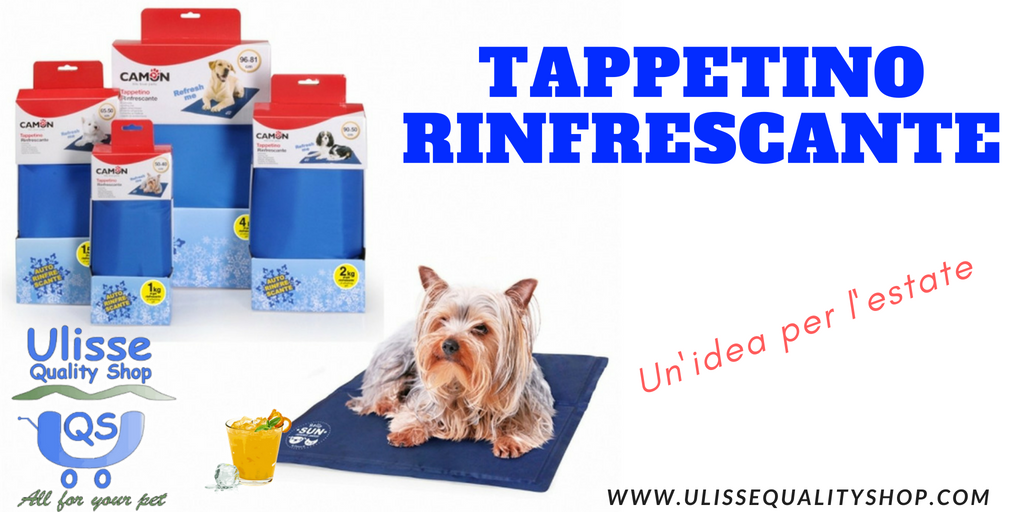 UlisseQualitySh's tweet photo. Tappetino #Rinfrescante @CamonSpa . Un'idea per mantenere la giusta #temperatura corporea. Scopri di più.
https://t.co/e43CG7Ncp4
#ulissequalityshop #temperaturacorporea #cani #gatti #pet #petshop #tappetinorinfrescante https://t.co/D0Gv5xwOmx