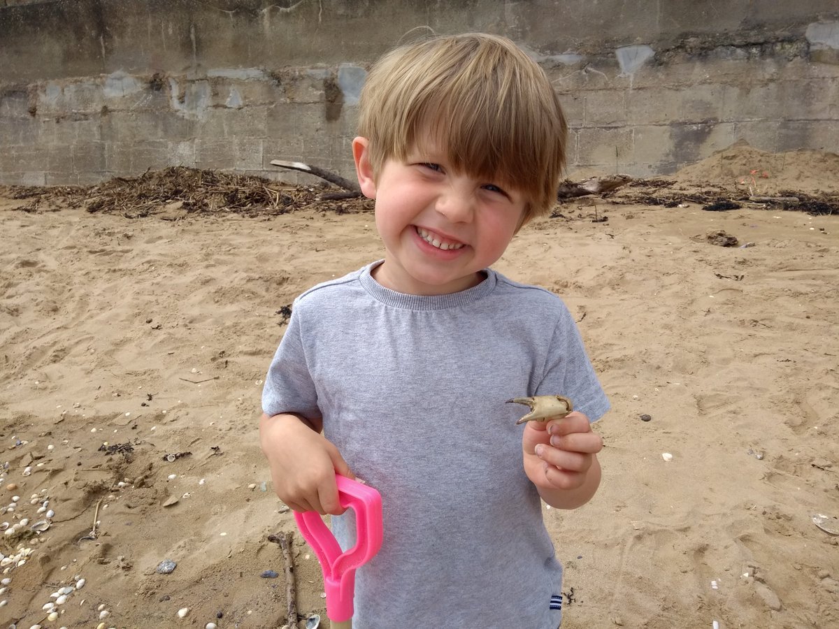beccanuckley's tweet photo. William was really brave picking up a crab claw at the beach today. He has been doing lots of brave acts recently. @jessica__jane https://t.co/TpWsGeob73