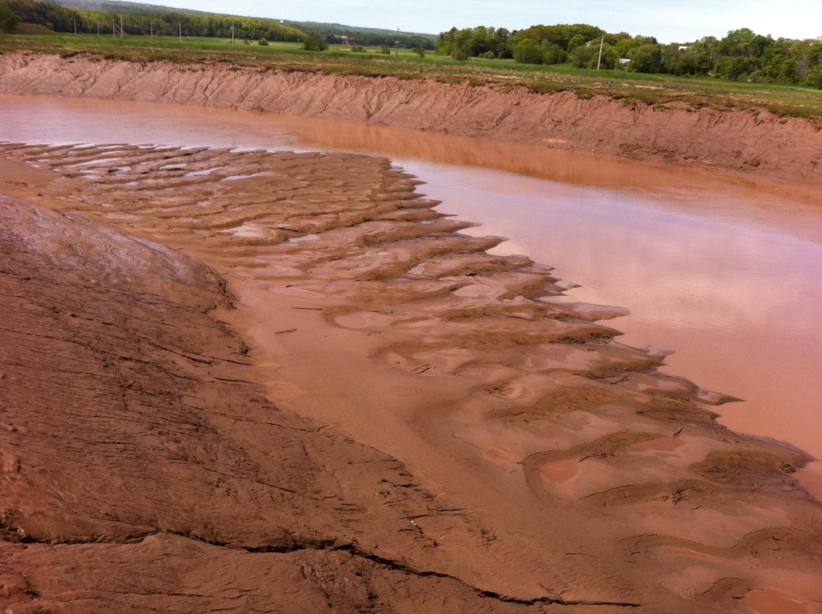 Large eb-dominated dunes in Cornwallis River W of red square in loc map. These are fine sand & silt, always waterlogged (don't try to walk on them). Meander banks are silt/mud, up to 3 m high. One of the very few places where we see these around Minas Basin