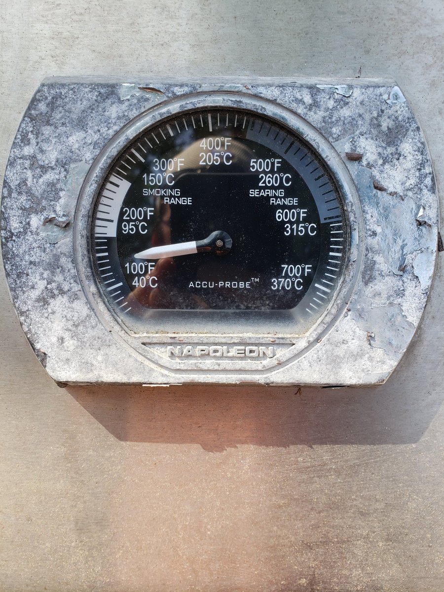 reliantaircompr's tweet photo. The bbq isn't even on! #hotdays #FathersDay #GoTigers #jebbers16 https://t.co/2Obq3dIw0g