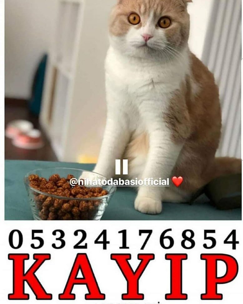 kedijim (@kedijim) on Twitter photo 