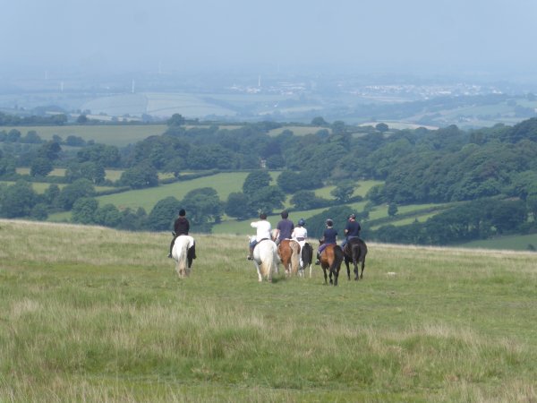 What's On DEVON SOCIAL GROUP events
devonsocialgroup.com/devon-events       
#Devon <a href="/DevonSG/">Devon Social Group</a> 
03456 121 770 
info@devonsocialgroup.com
DEVON SOCIAL GROUP