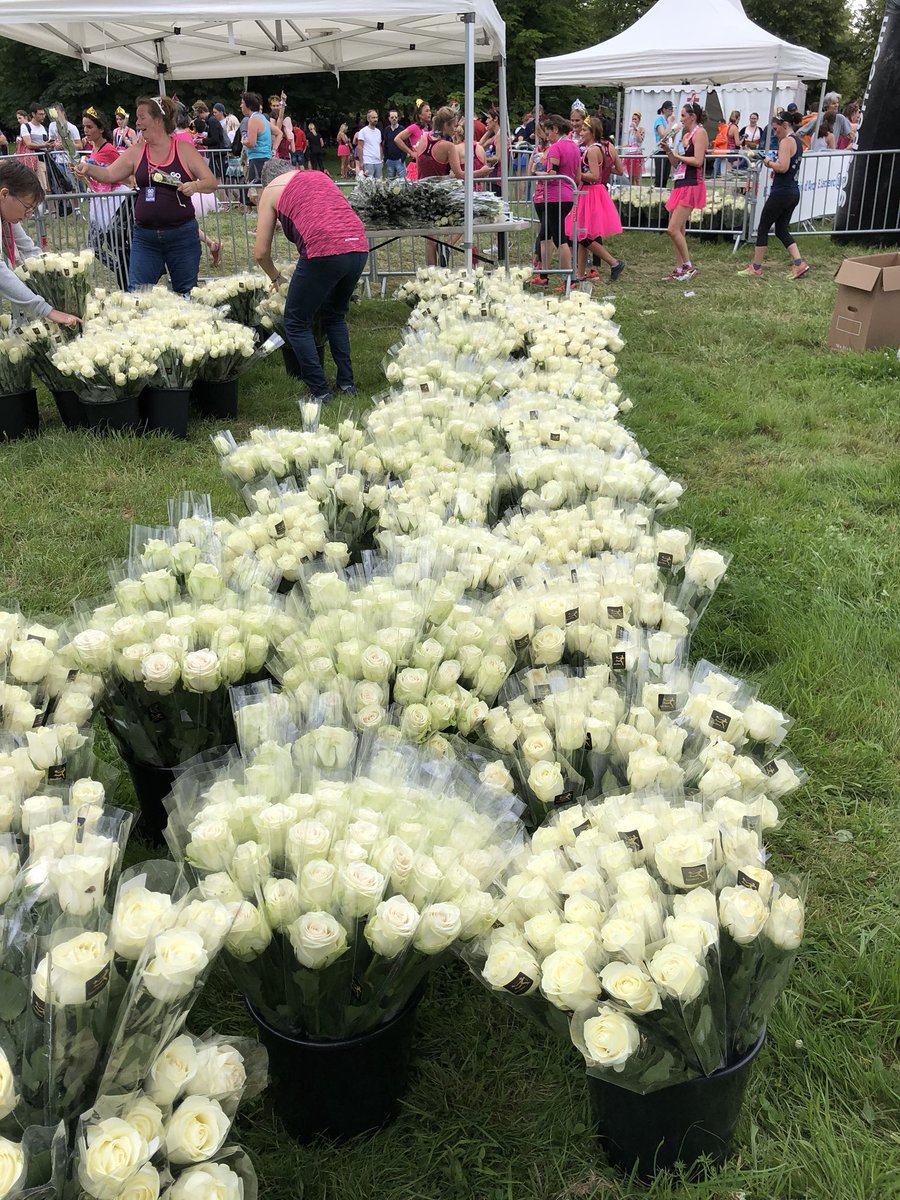 CyrilleKittel's tweet photo. Bravo aux 10 000 participantes de la nouvelle édition de La Course Des Princesses Interflora #CourseDesPrincesses #CourseDesPrincessesInterflora #PrincesseInterflora #running #interflora #chateaudeversailles @Interflora https://t.co/nws4JUPOyV