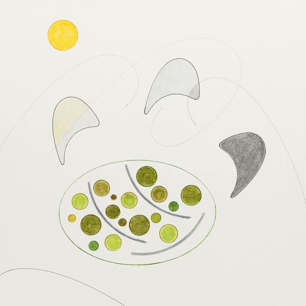 The oasis are at the bottom of the valley.
_____________________________
Oasis in Oman 
30 x 30cm
01/2018
© moholinushk #moholinushk #art #artist #abstract #drawing #pencildrawing #color #shapes #circle #geometry