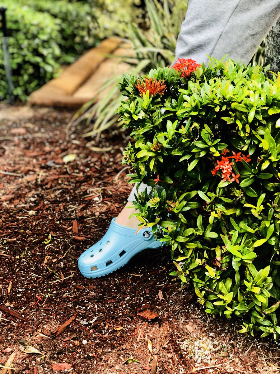 Nat_Ily22's tweet photo. Crocs aren’t just a shoe, they’re a lifestyle 😎 @Crocs https://t.co/uGJtO8wDOj