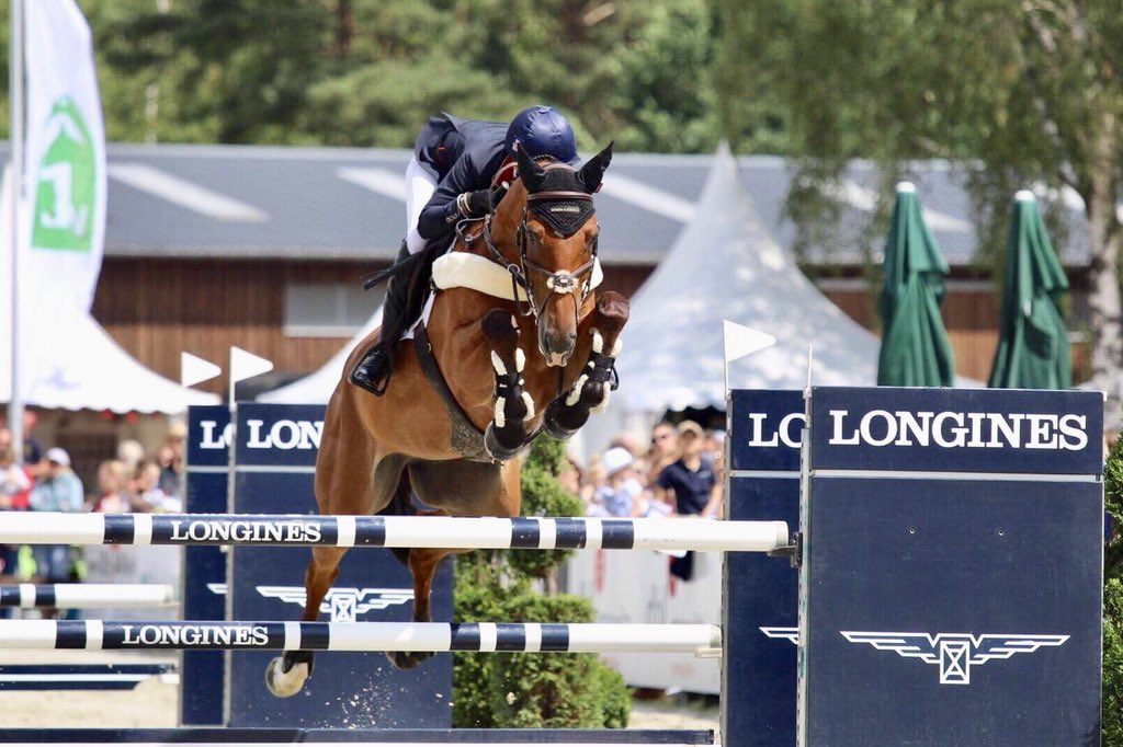 CollettEventing's tweet photo. Incredible pics taken by Tess Anderson of my insanely cool horse ... Mr Bass is simply the best 💞 #special #memories https://t.co/5B8X9z2yVc